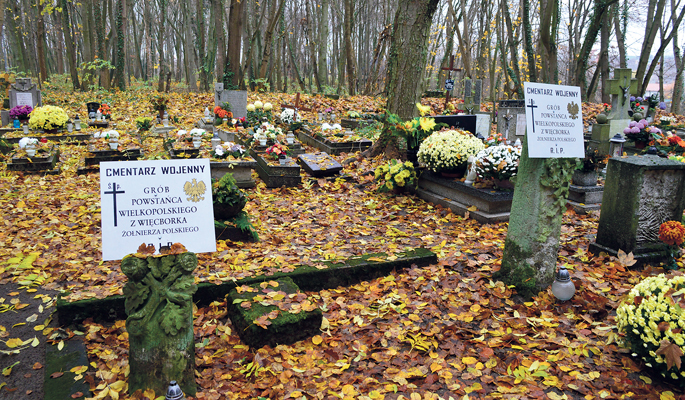 Ahistoryczna konfabulacja  na cmentarzu