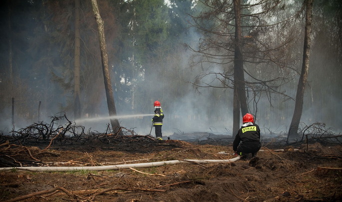 Płoną pola, płoną lasy 