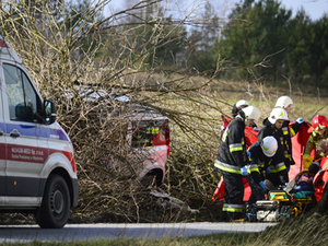 Tragedia na drodze