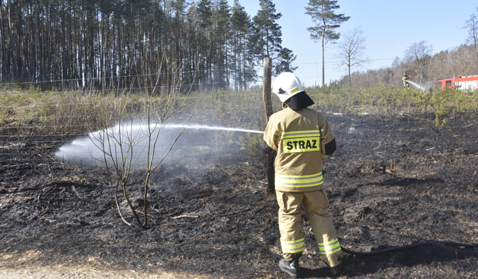 Pożar w lesie niepodległości