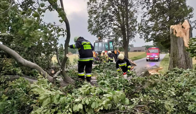 Wiatr łamał drzewa jak zapałki