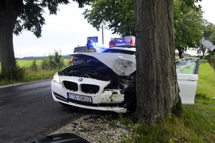 BMW na drzewie