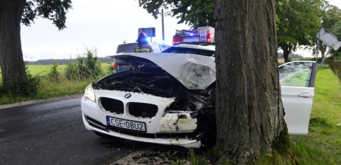 BMW na drzewie