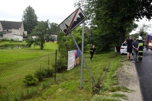 BMW na drzewie
