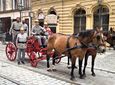 Sikawka z Lubczy zagrała w filmie