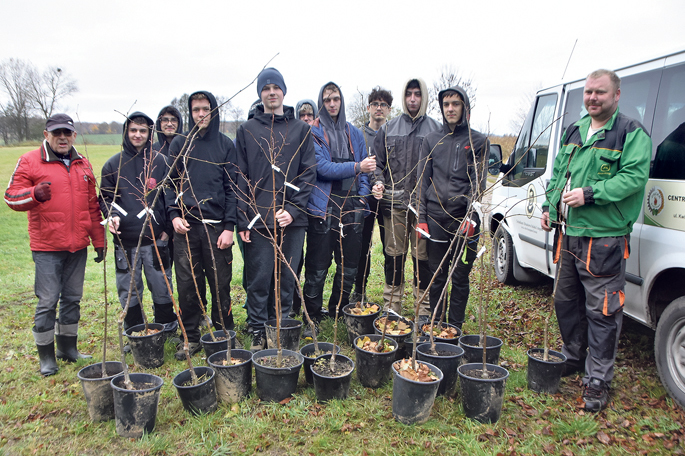 W Runowie sadzili lipy