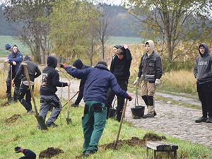 W Runowie sadzili lipy