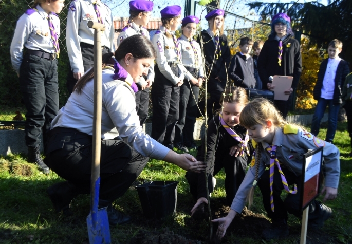 Narodowe Święto Niepodległości