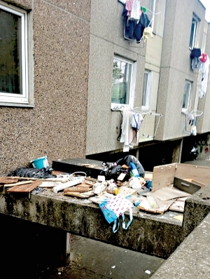 Instytut fizyki stosowanej  i biotechnologii w Getyndze