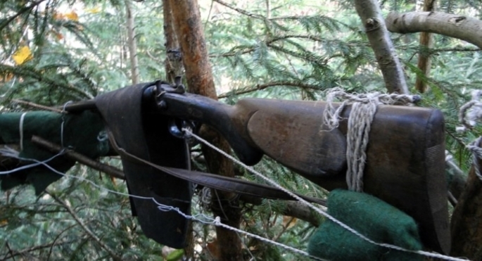 Celował do łani, trafił w byka i przed sąd