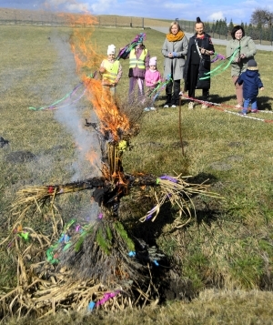 Zboże powitało wiosnę
