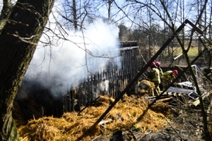 Sto kurczaków zginęło w pozarze