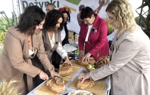 Gminne dożynki w Witkowie